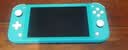Nintendo Switch任天堂NS主机日版Switch Lite mini NSL掌上便携游戏机 绿色  实拍图