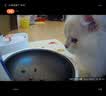 小佩宠物AI智能自动喂食器可视版2 定时定量 猫脸识别(支持鸿蒙智联) 实拍图