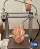 拓竹A1 3D打印机儿童礼物桌面家用FDM全自动调平高速3d打印机器【大陆版】 实拍图