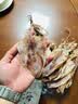 北海印象【北海产地】鱿鱼干A3 500g淡干烧烤手撕芥末干货 中秋节送礼礼品 实拍图