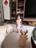 COOKSS充气不倒翁玩具婴幼儿童套圈游戏锻炼宝宝体力男女孩益智早教礼物 实拍图