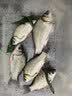 浮烟山6.3米5H28调赤羽全能综合鱼竿手竿超轻超硬台钓竿鲫鲤钓鱼杆渔具 实拍图