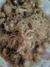 獐子岛 冻煮虾夷扇贝800g 去脏去沙 海鲜生鲜贝类火锅食材原料中秋聚餐 实拍图