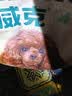 耐威克贵宾泰迪专用狗粮狗干粮小型犬成幼犬牛肉味10kg 实拍图