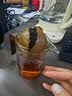 泥也小青柑专用泡茶杯玻璃泡茶公道杯泡青柑普洱专用茶具公道杯子茶漏 实拍图