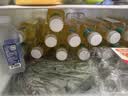 农夫山泉东方树叶茉莉花茶500ml*15瓶无糖茶饮料0糖0脂0卡整箱装 实拍图