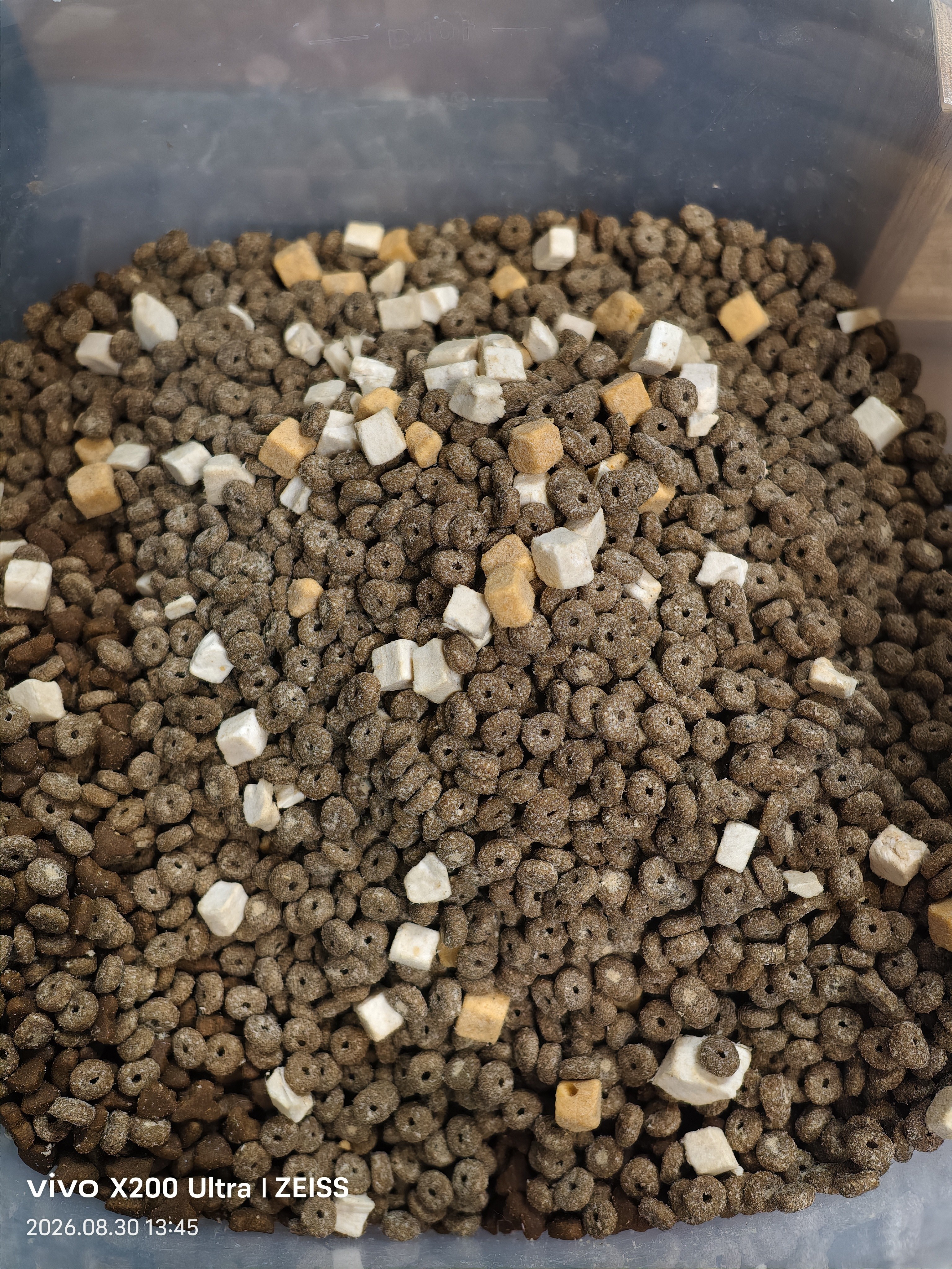 好主人猫粮金装猫粮2.0试吃装 【试吃京仓】金装成猫粮40g 实拍图