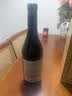 Member's Mark 意大利进口 巴罗洛红葡萄酒 750mL 750mL 1瓶 实拍图
