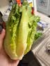 【烧烤季】钟灵山罗马生菜400g 实拍图