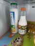 沙漠之花杏仁露290ml*8瓶内蒙特产北方山杏仁乳礼品礼盒植物蛋白家庭饮料 实拍图