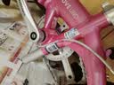 大行（DAHON）BYA412 粉色折叠自行车14英寸超轻便携小轮男女式单车 实拍图