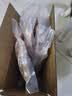 干货猪蹄筋250g/500g 山东临沂源产地直销 猪长脚筋 猪后脚筋 特级猪蹄筋250g（特级干货约31根） 实拍图