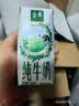 伊利【新鲜日期】金典纯牛奶 200ml*12 3.6g乳蛋白中秋礼品礼盒装 6月 实拍图