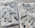 钓鱼记免浆黑鱼片2斤 (4袋*250g) 生鱼片冷冻火锅食材 生鲜 中秋送礼 实拍图