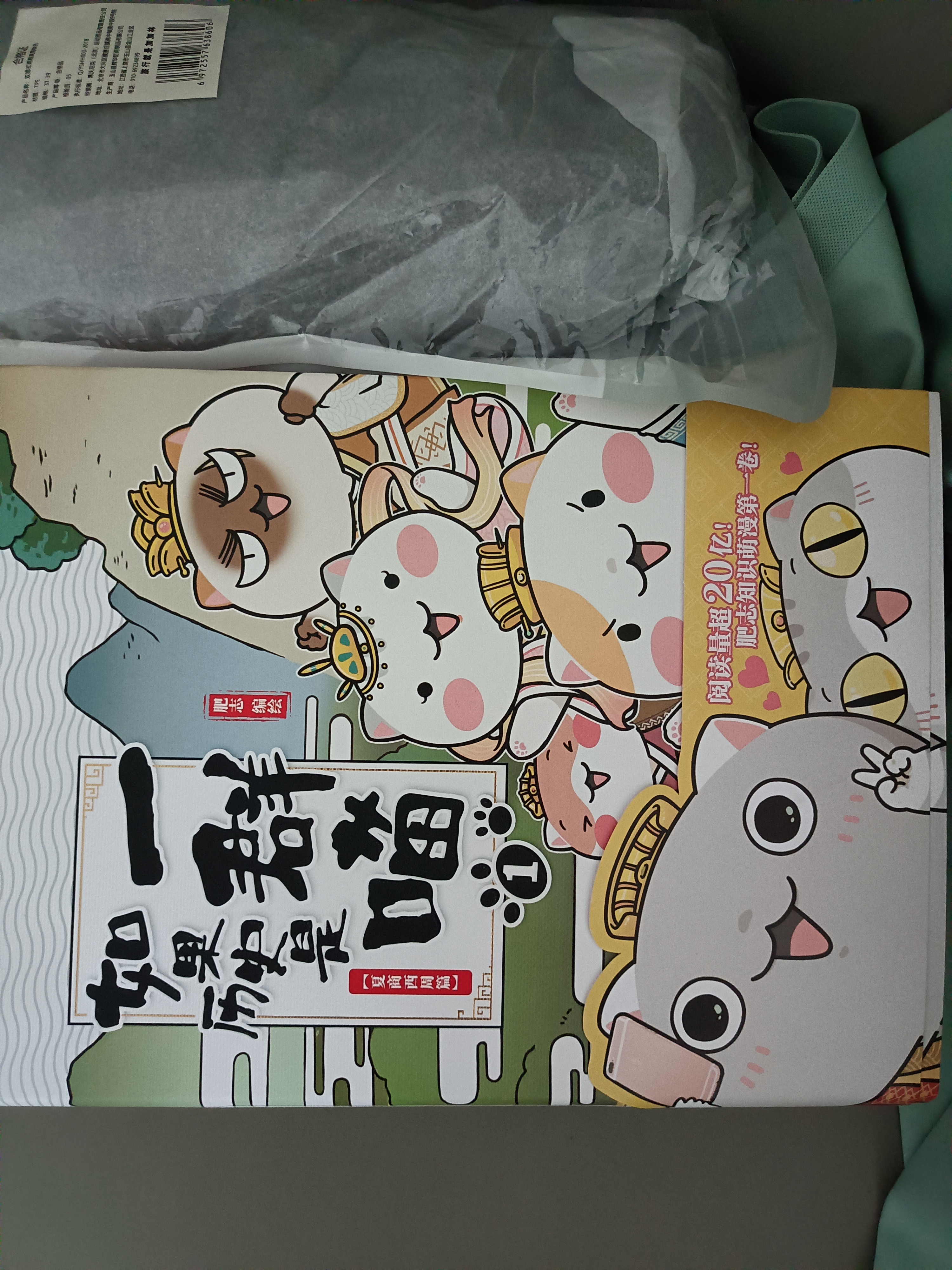 如果历史是一群喵1 夏商西周篇 【现货速发】 假如历史是一群喵 正版 历史是一群喵 肥志历史科普漫画书 小学生儿童漫画趣味中国史绘本动漫 第15册大清风云篇  实拍图