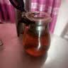 飘逸壶泡茶壶耐热高温玻璃沏茶过滤内胆冲茶器家用茶具套装 飘逸杯1800mL1个 实拍图
