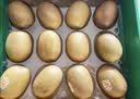 佳沛（zespri）新西兰金奇异果12粒特大果124-146g猕猴桃中秋节礼品送水果礼盒 实拍图