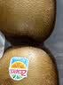 佳沛（zespri）金奇异果25粒原箱特大果134-146g猕猴桃中秋节礼品送水果礼盒 实拍图