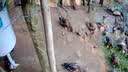 奥克斯免流量高清室外摄像头防水手机无线远程监控器360度无死角云台旋转无死角4g网络全景语音对话户外 实拍图