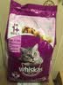 伟嘉成猫猫粮3.6kg吞拿鱼及三文鱼口味布偶加菲英短猫咪成猫全价粮 实拍图