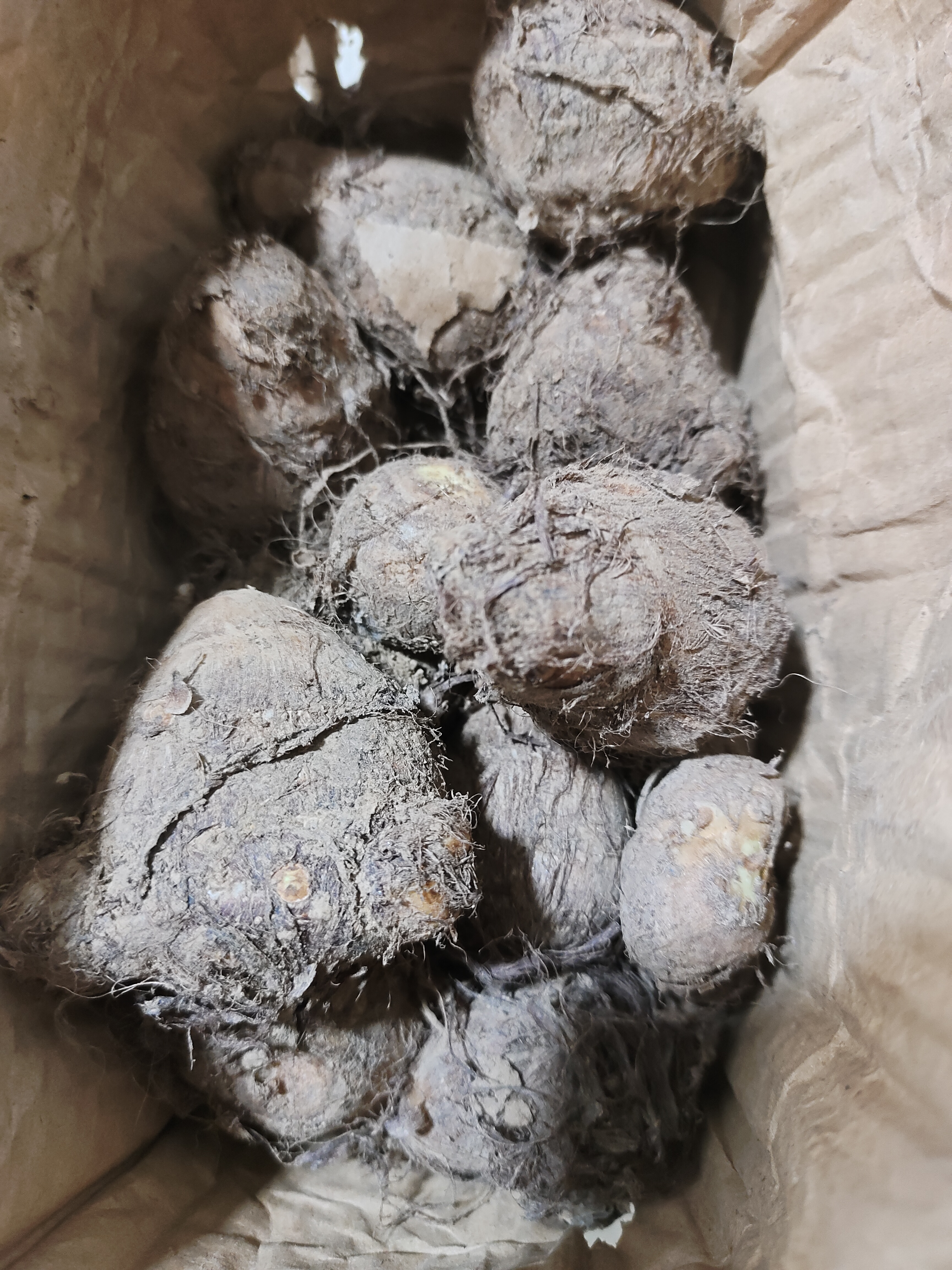 山东牛奶小芋头新鲜芋艿红薯地瓜农家蔬菜早餐辅食直播间超市 正宗山东牛奶毛芋头【2斤装】 含箱 实拍图