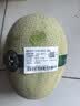 北纬23°西州蜜瓜1粒约1.3kg 实拍图