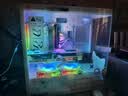 七彩虹电脑i5 13400F/RTX5060Ti 4060Ti吃鸡永劫无间直播设计师RTX5070电竞游戏台式电脑主机diy组装整机 【赠品勿拍】三个ARGB机箱风扇 实拍图