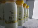 每日鲜语鲜牛奶 3.6g全脂211ml*6 家庭必备 巴氏杀菌乳 低温奶 实拍图