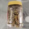 春江月新货绿葡萄干新疆特产葡萄干大颗粒免洗即食特无核蜜级饯果干零食 【新疆一级葡萄干】500g*1罐 实拍图