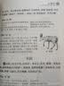 快乐读书吧四年级上册（全4册） 中国古代神话+山海经+世界神话故事+希腊神话与英雄传说 语文教材配套书目 开学季 实拍图