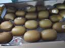 佳沛（zespri）新西兰金奇异果22粒巨大原箱146-175g猕猴桃中秋节礼品送水果礼盒 实拍图