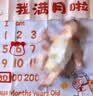 多美忆满月礼仪式布置宝宝百天满月宴场景装饰氛围拍照纪念道具地垫套装 实拍图