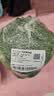 西兰花约500g 实拍图