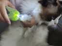HELLOJOY猫咪指甲剪LED灯宠物猫猫狗狗剪指甲钳子神器指甲刀带灯 实拍图