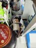 港荣蒸蛋糕淡糖450g小面包蛋糕早餐糕点甜品零食下午茶中秋礼品盒 实拍图