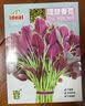 ldeal理想农业 油麦菜种子夏季耐热甜脆香油麦菜种籽四季易种蔬菜种子 实拍图