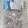 【抽肠】冰鲜青虾仁100g（13-19粒） 实拍图