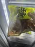七鲜私厨五香猪肚条免切免洗猪肚鸡煲汤食材炒菜涮火锅 200g  实拍图