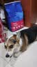 海洋之星 三文鱼中小型犬狗粮金毛比熊边牧狗粮成犬小颗粒12kg（6kg*2） 实拍图