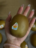 佳沛（zespri）新西兰阳光金奇异果10粒巨大果单果146-175g 猕猴桃水果礼盒 实拍图