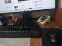 罗技（Logitech）MK346P(同MK345外观） 无线键鼠套装 办公商用键盘鼠标套装 全尺寸键盘104键 数字小键盘 便携黑色 实拍图