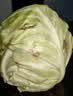 山东寿光新鲜青甘蓝卷心菜新鲜包菜青绿卷心菜手撕包菜爆炒 寿光甘蓝2斤（净重1.8斤） 实拍图