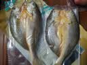 三都港 冷冻醇香黄鱼鲞500g 三去黄花鱼 生鲜 烧烤食材 海鲜 中秋礼品 实拍图