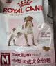 皇家狗粮 成犬狗粮 犬粮 宠物 中型犬 M25 全价犬粮 12月 15KG 实拍图