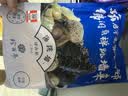 珍百年正宗佛跳墙1500g金浓汤加热即食海参鲍鱼中秋节预制菜海鲜半成品 实拍图