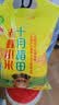 十月稻田 赤峰小米 1kg 内蒙古敖汉旗 黄小米杂粮 小米黄小米 中秋送礼 实拍图