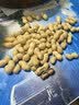 旭东百里挑一椒盐味带壳花生大袋5斤装咸干花生大包装散装零食炒年货 实拍图