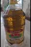 鲁花 【保真菜籽油】食用油 低芥酸特香菜籽油 6.18L   物理压榨 实拍图