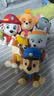 汪汪队立大功（PAW PATROL）毛绒玩具狗狗陪睡玩偶经典款小号坐姿可爱公仔男女孩生日礼物 实拍图