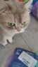 LEGENDSANDY蓝氏乳鸽猫粮幼猫成猫猫零食主食猫条餐包猫咪尝鲜大礼包246g 实拍图